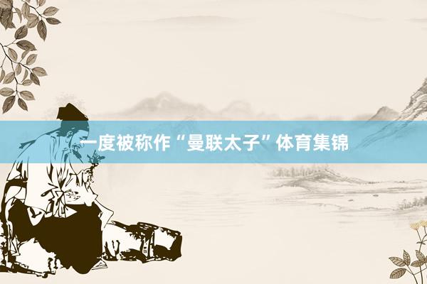 一度被称作“曼联太子”体育集锦