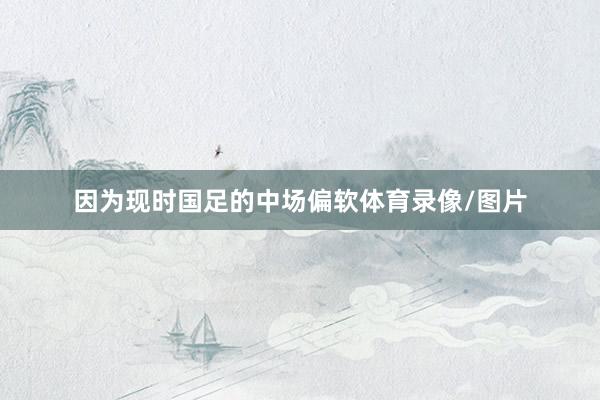 因为现时国足的中场偏软体育录像/图片