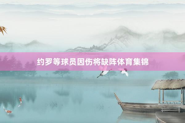 约罗等球员因伤将缺阵体育集锦