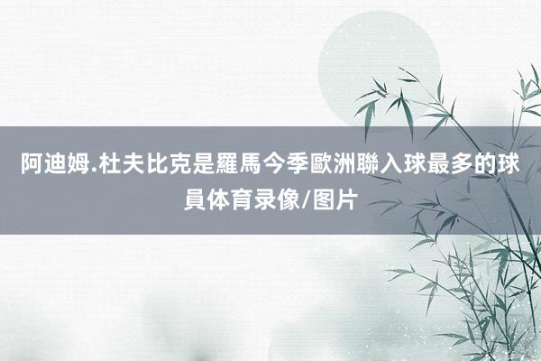 阿迪姆.杜夫比克是羅馬今季歐洲聯入球最多的球員体育录像/图片