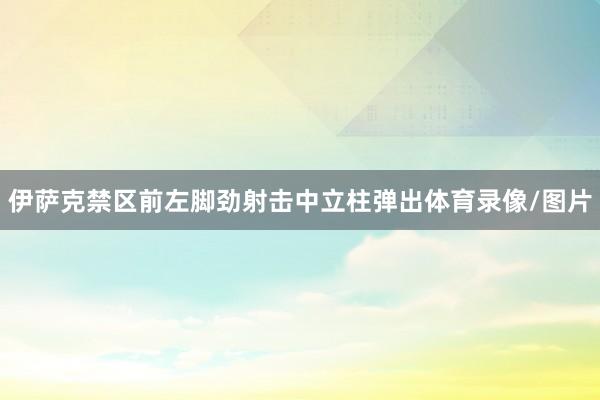 伊萨克禁区前左脚劲射击中立柱弹出体育录像/图片