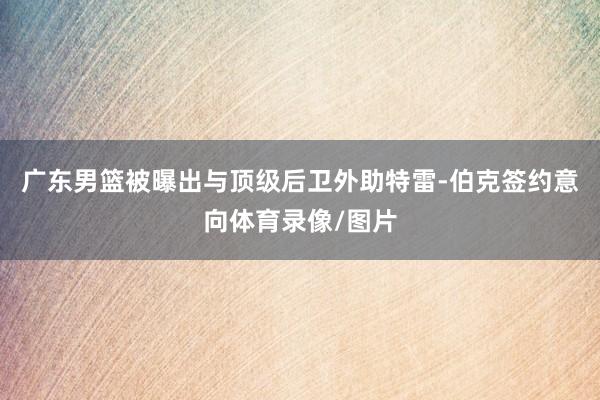 广东男篮被曝出与顶级后卫外助特雷-伯克签约意向体育录像/图片
