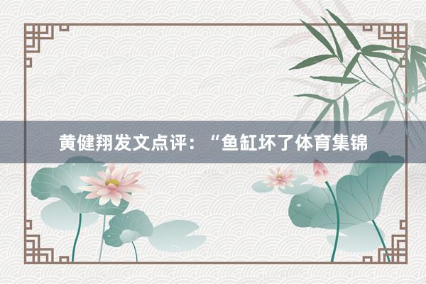 黄健翔发文点评：“鱼缸坏了体育集锦