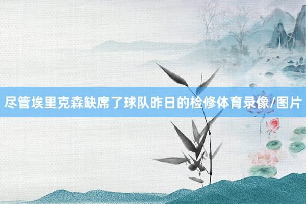 尽管埃里克森缺席了球队昨日的检修体育录像/图片