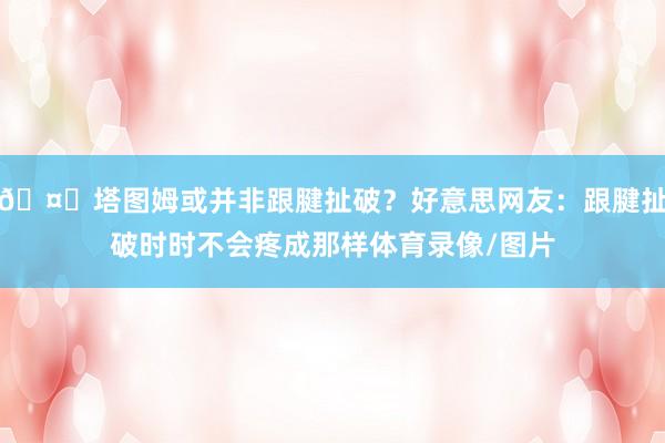 🤔塔图姆或并非跟腱扯破？好意思网友：跟腱扯破时时不会疼成那样体育录像/图片