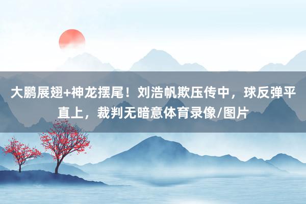 大鹏展翅+神龙摆尾！刘浩帆欺压传中，球反弹平直上，裁判无暗意体育录像/图片