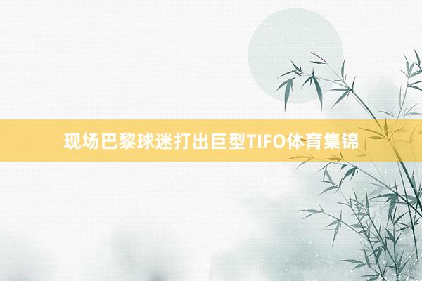 现场巴黎球迷打出巨型TIFO体育集锦