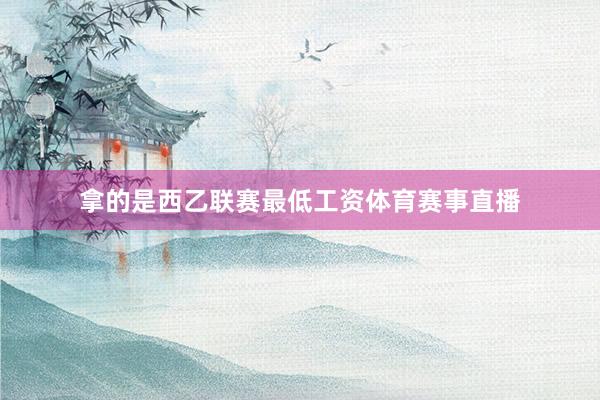 拿的是西乙联赛最低工资体育赛事直播