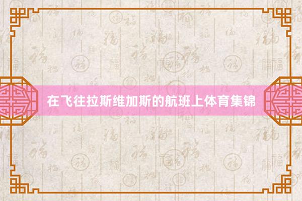 在飞往拉斯维加斯的航班上体育集锦