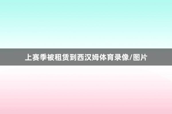 上赛季被租赁到西汉姆体育录像/图片