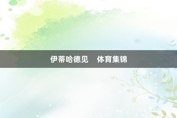 伊蒂哈德见    体育集锦