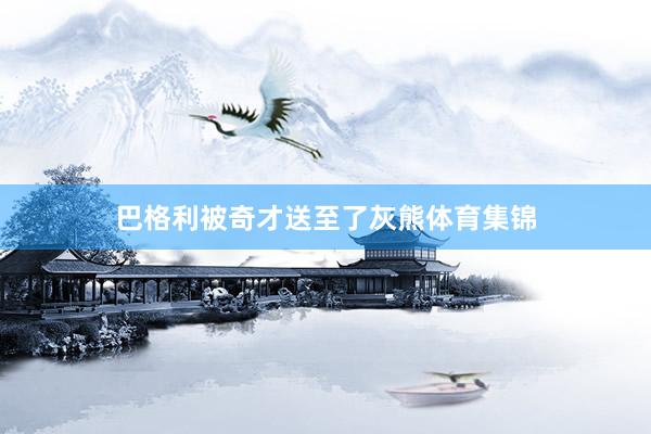 巴格利被奇才送至了灰熊体育集锦