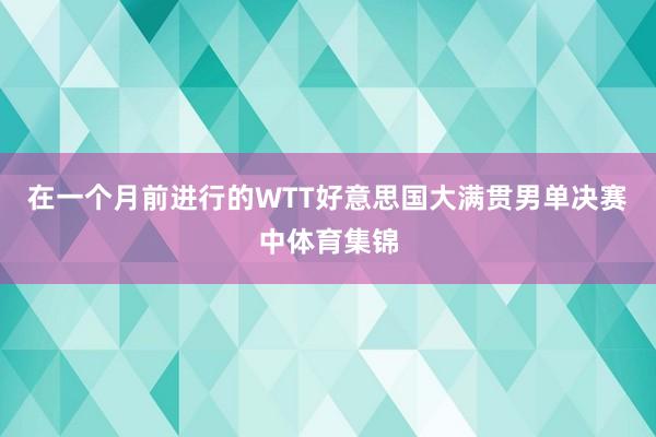 在一个月前进行的WTT好意思国大满贯男单决赛中体育集锦