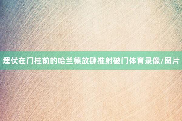 埋伏在门柱前的哈兰德放肆推射破门体育录像/图片