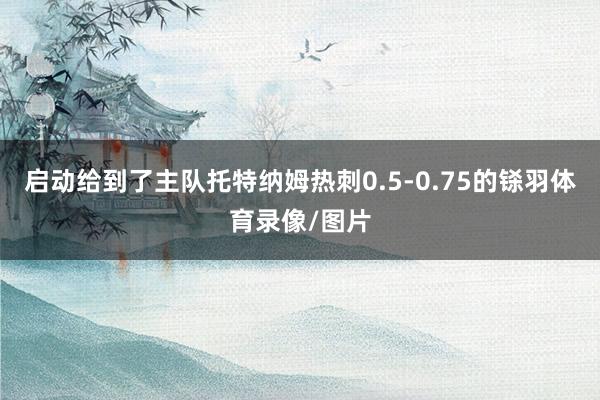 启动给到了主队托特纳姆热刺0.5-0.75的铩羽体育录像/图片