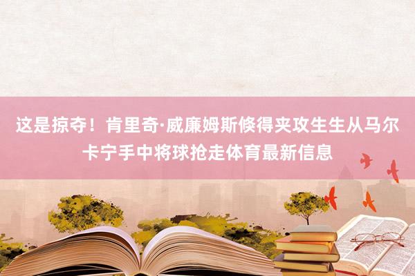 这是掠夺！肯里奇·威廉姆斯倏得夹攻生生从马尔卡宁手中将球抢走体育最新信息