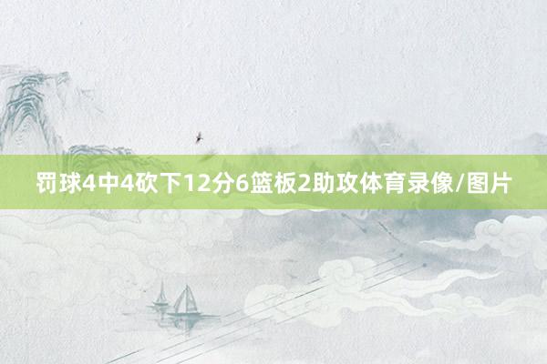 罚球4中4砍下12分6篮板2助攻体育录像/图片
