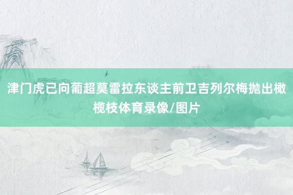 津门虎已向葡超莫雷拉东谈主前卫吉列尔梅抛出橄榄枝体育录像/图片