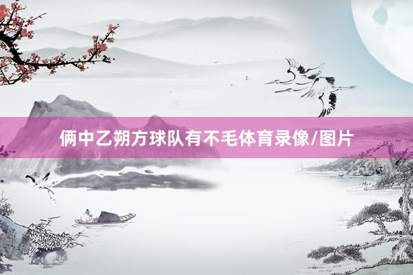 俩中乙朔方球队有不毛体育录像/图片