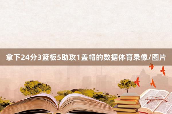拿下24分3篮板5助攻1盖帽的数据体育录像/图片