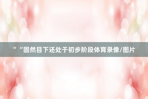 ”“固然目下还处于初步阶段体育录像/图片