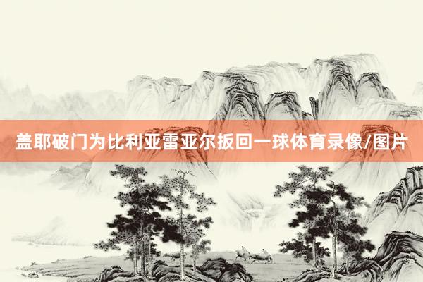 盖耶破门为比利亚雷亚尔扳回一球体育录像/图片