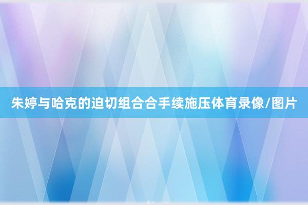 朱婷与哈克的迫切组合合手续施压体育录像/图片