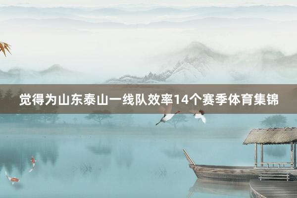 觉得为山东泰山一线队效率14个赛季体育集锦