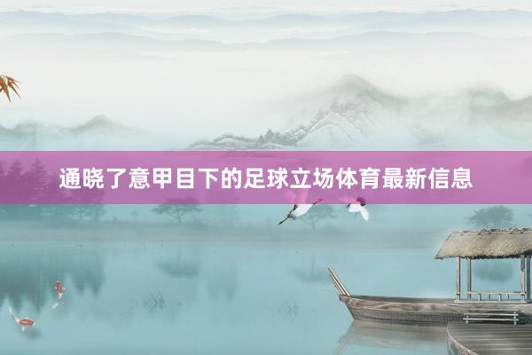 通晓了意甲目下的足球立场体育最新信息