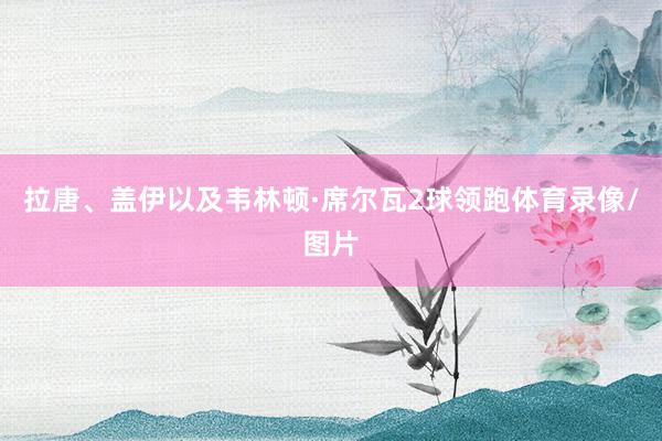 拉唐、盖伊以及韦林顿·席尔瓦2球领跑体育录像/图片