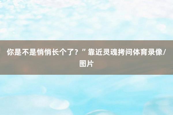 你是不是悄悄长个了？”靠近灵魂拷问体育录像/图片