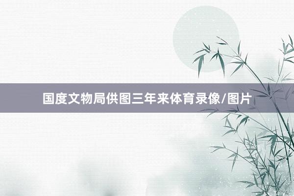 国度文物局供图三年来体育录像/图片