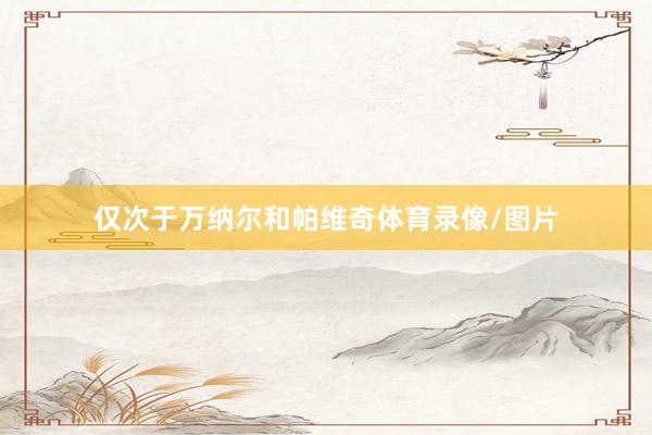 仅次于万纳尔和帕维奇体育录像/图片