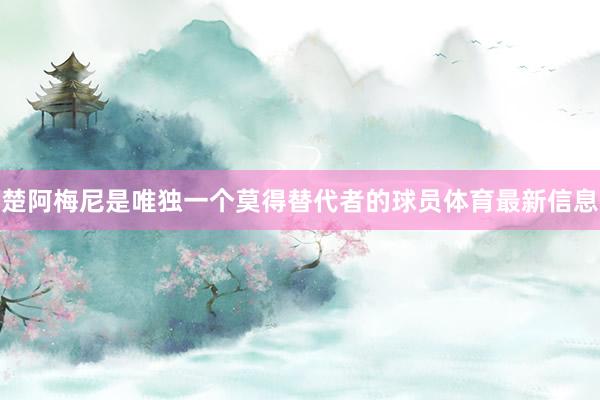 楚阿梅尼是唯独一个莫得替代者的球员体育最新信息