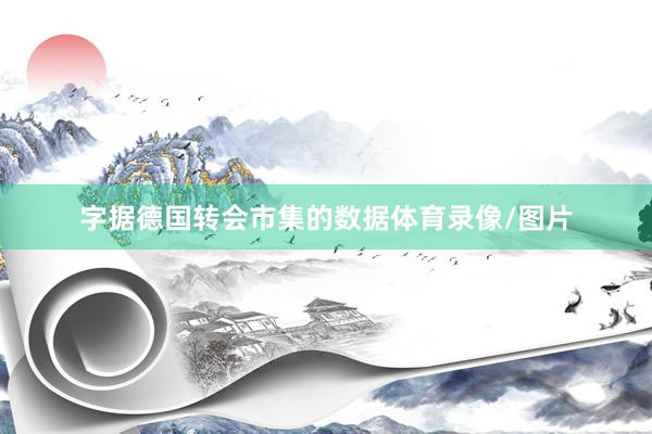 字据德国转会市集的数据体育录像/图片