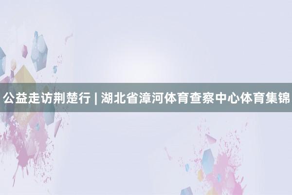 公益走访荆楚行 | 湖北省漳河体育查察中心体育集锦
