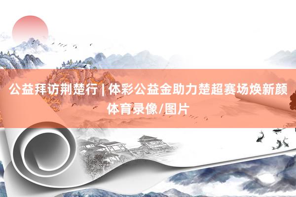 公益拜访荆楚行 | 体彩公益金助力楚超赛场焕新颜体育录像/图片