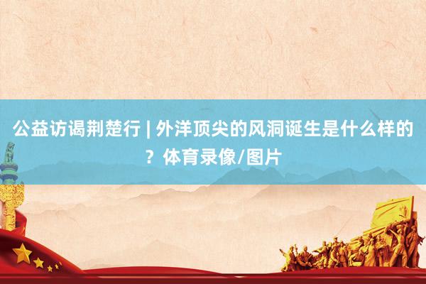 公益访谒荆楚行 | 外洋顶尖的风洞诞生是什么样的？体育录像/图片