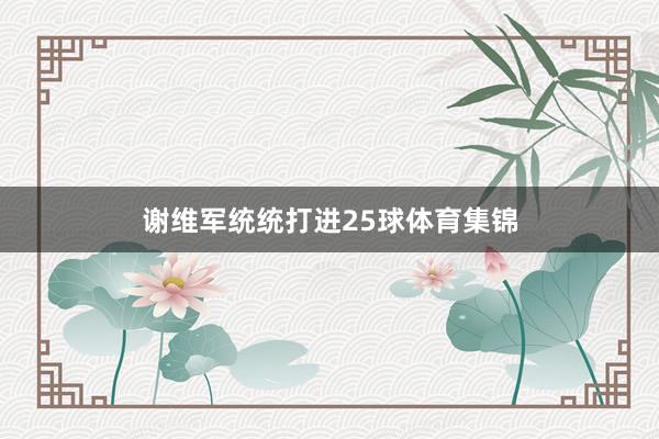 谢维军统统打进25球体育集锦