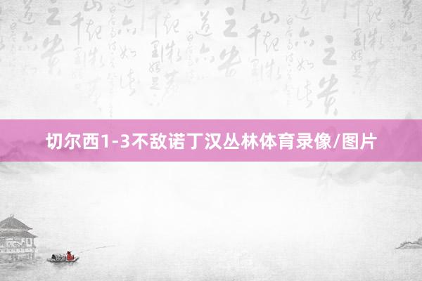 切尔西1-3不敌诺丁汉丛林体育录像/图片